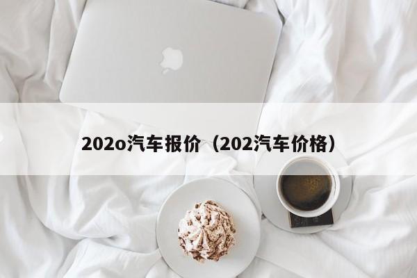 202o汽车报价（202汽车价格）