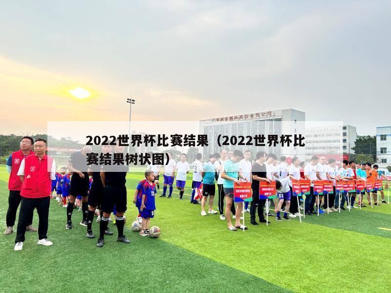 2022世界杯比赛结果（2022世界杯比赛结果树状图）