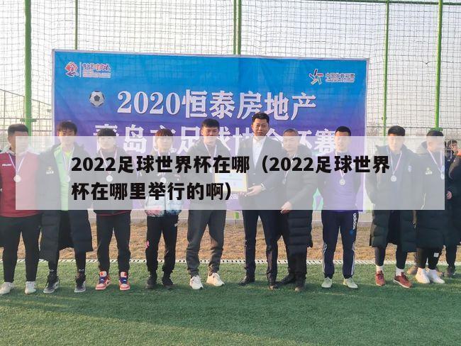 2022足球世界杯在哪（2022足球世界杯在哪里举行的啊）