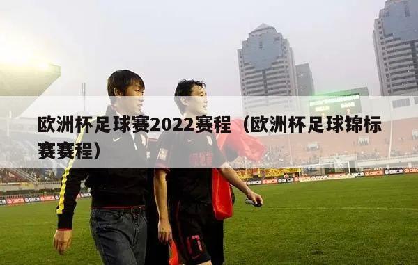 欧洲杯足球赛2022赛程（欧洲杯足球锦标赛赛程）