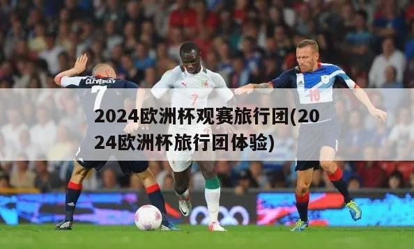 2024欧洲杯观赛旅行团(2024欧洲杯旅行团体验)