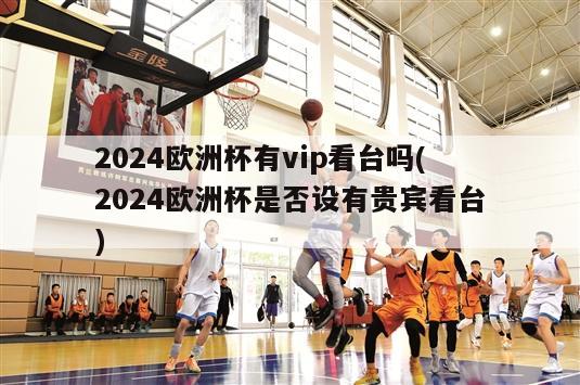 2024欧洲杯有vip看台吗(2024欧洲杯是否设有贵宾看台)